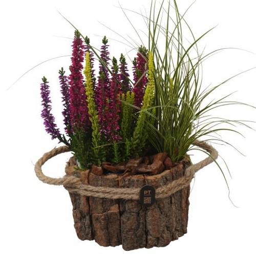Garten.Arr PTHO7656 Herbst T17 H033