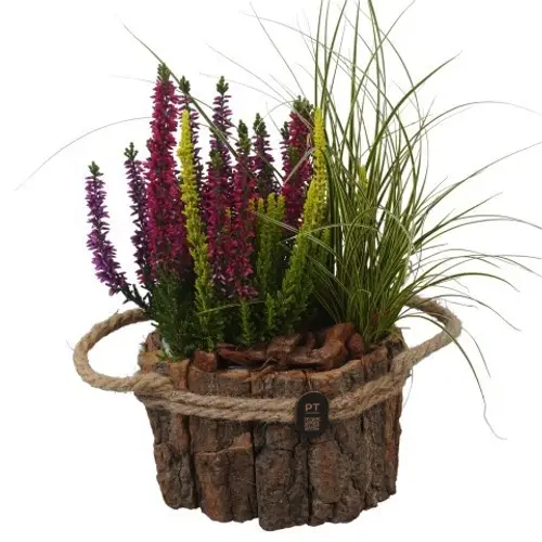 Garten.Arr PTHO7656 Herbst T17 H033