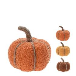 Kürbis mix D13cm H12cm