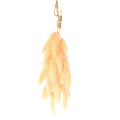Trocken Hang Lagurus lachs L20cm