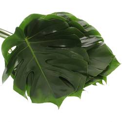 Monstera Blatt grün 70cm D.45cm XL