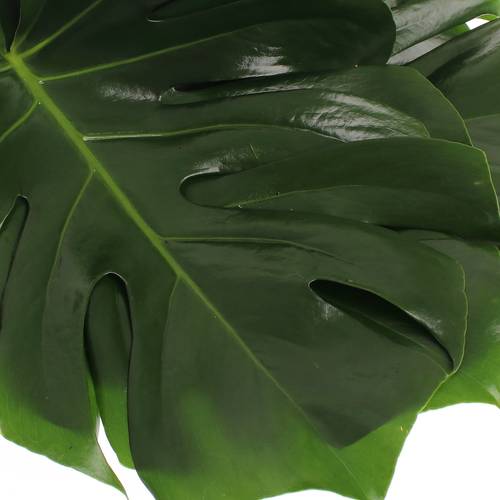 Monstera Blatt grün 70cm D.45cm XL