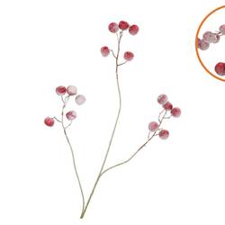 Seidenapfel Schnee rot L93cm