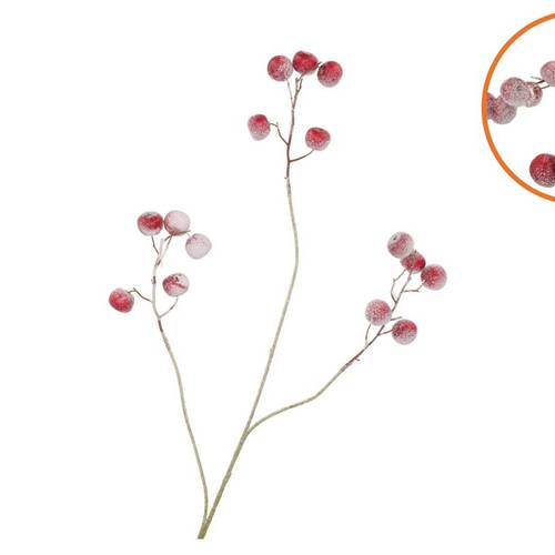 Seidenapfel Schnee rot L93cm