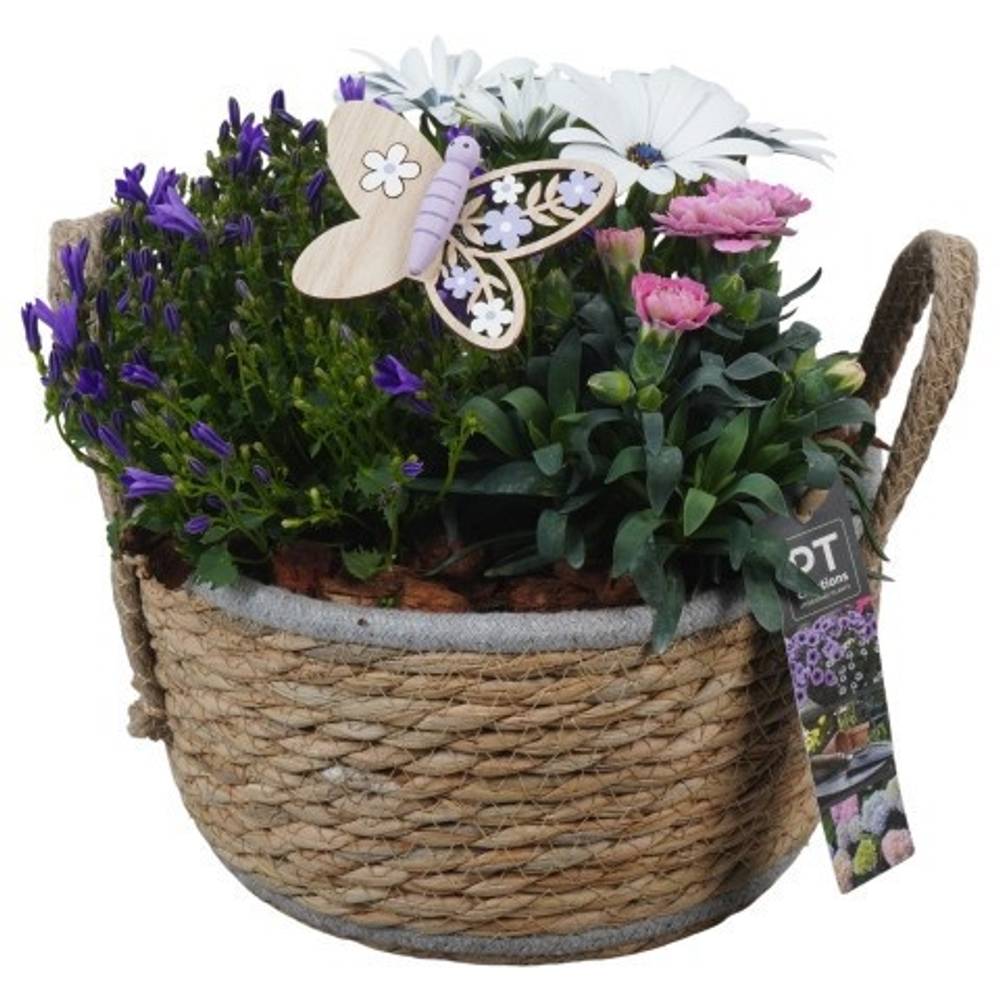 Garten.Arr PTPP6940 T22 H024