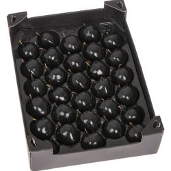 Apfel schwarz Wachs D5cm