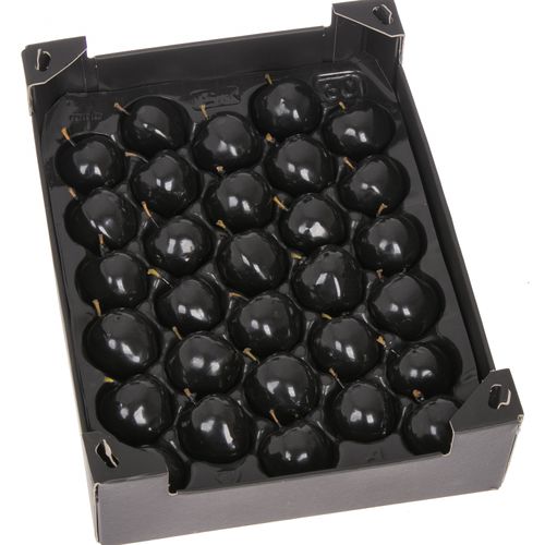 Apfel schwarz Wachs D5cm