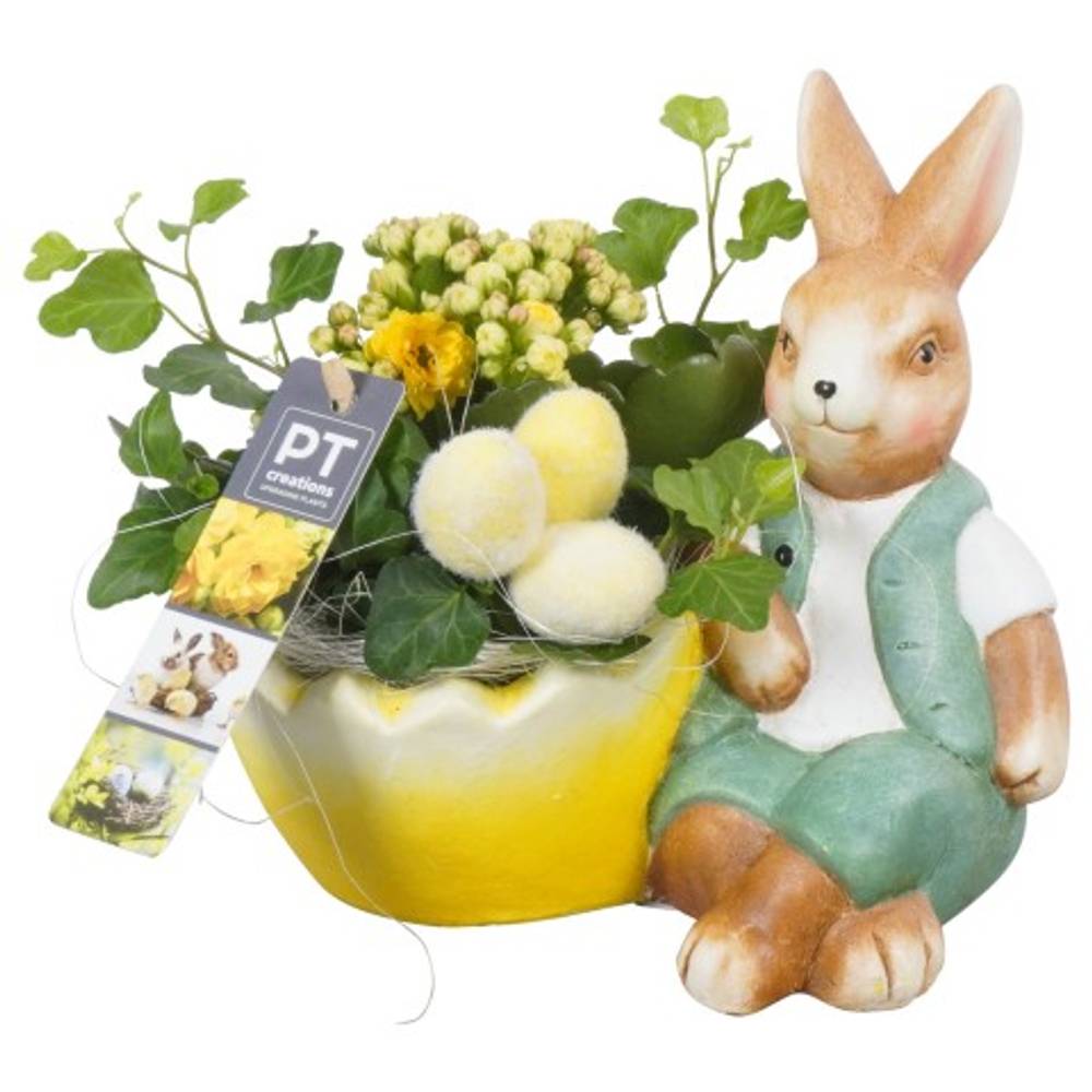 Ostern Arr PTPB3822 T19 H017