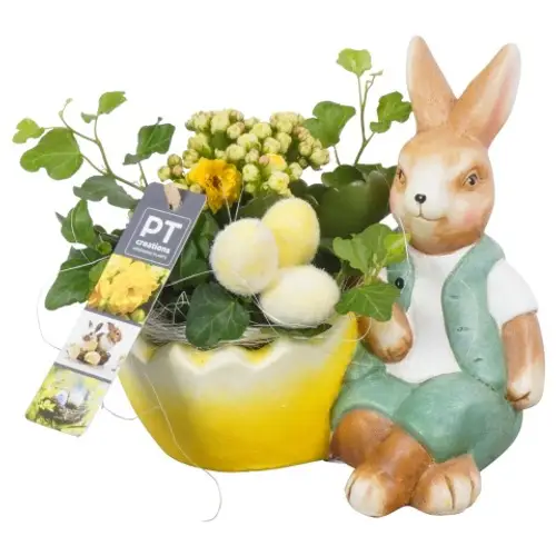 Ostern Arr PTPB3822 T19 H017
