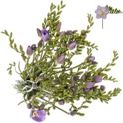 Freesie blau Avignon 20 Gramm