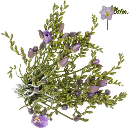 Freesie blau Avignon 20 Gramm
