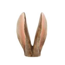 Hasenohr braun 13x05x18cm