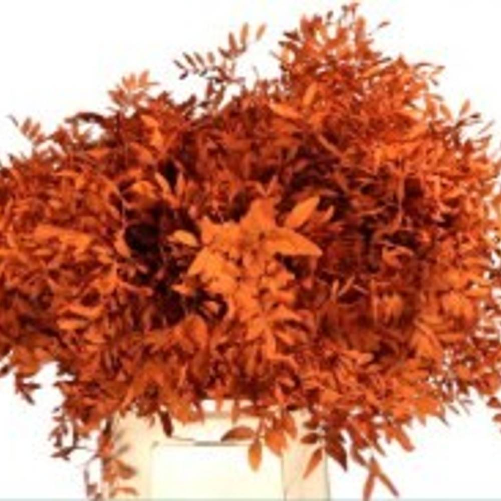Pistazie orange gefärbt 50cm