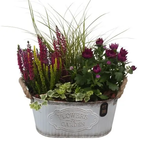 Garten.Arr PTHO7598 Herbst T28 H042
