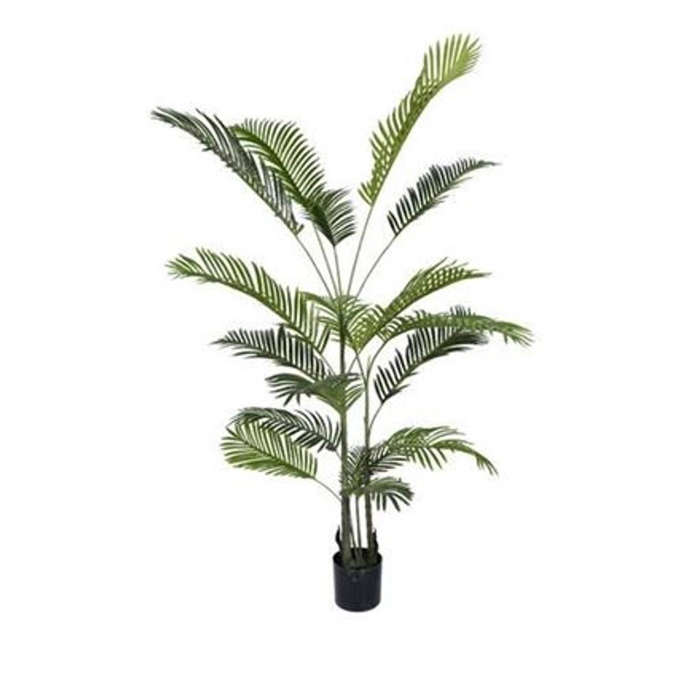 Seiden Areca grün D100cm H180cm