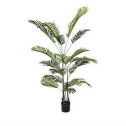 Seiden Areca grün D100cm H180cm