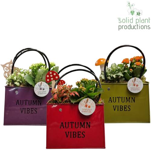Kal.Arr mix ZKE001AMIX Herbst T18 H028