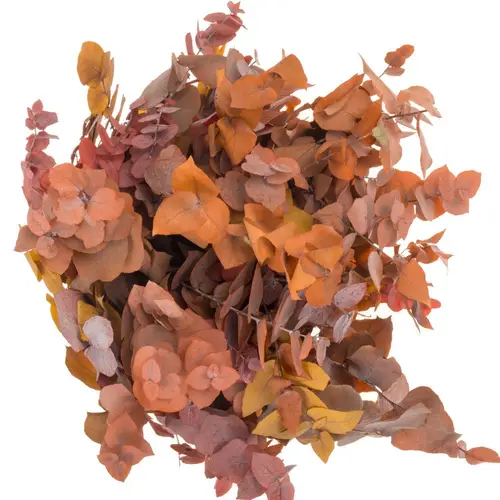 Populus dunkel orange/braun Stuartiana Präpariert 200 Gramm 70cm