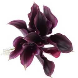 Calla lila Rudolph 50cm