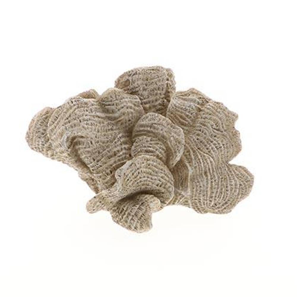 Koralle Ozean braun 17x11x11cm