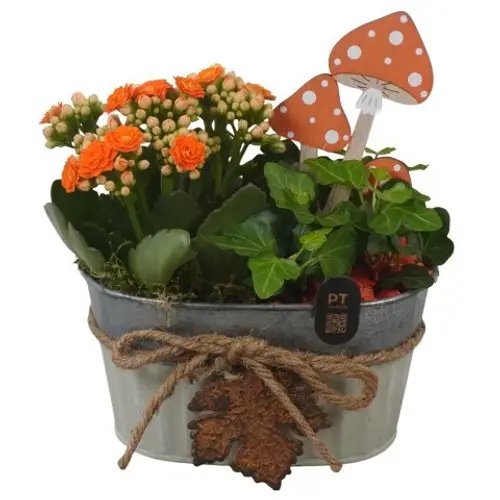Kal.Arr PTHI3390 Herbst T16 H019