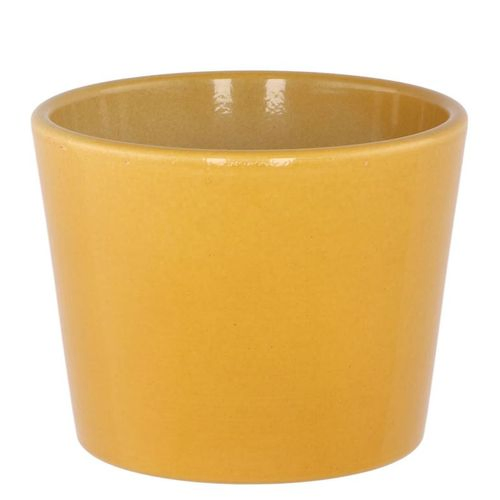 Keramik Orchidee Übertopf Curry gelb D11cm