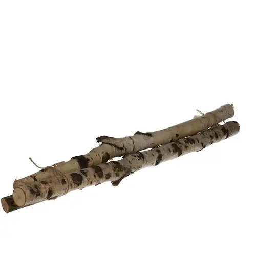 Birke Natur L60cm x3