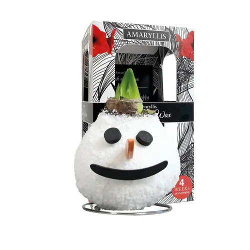 Amar.Bol Wachs Schneemann im Giftbox rote Bl. 32cm H022