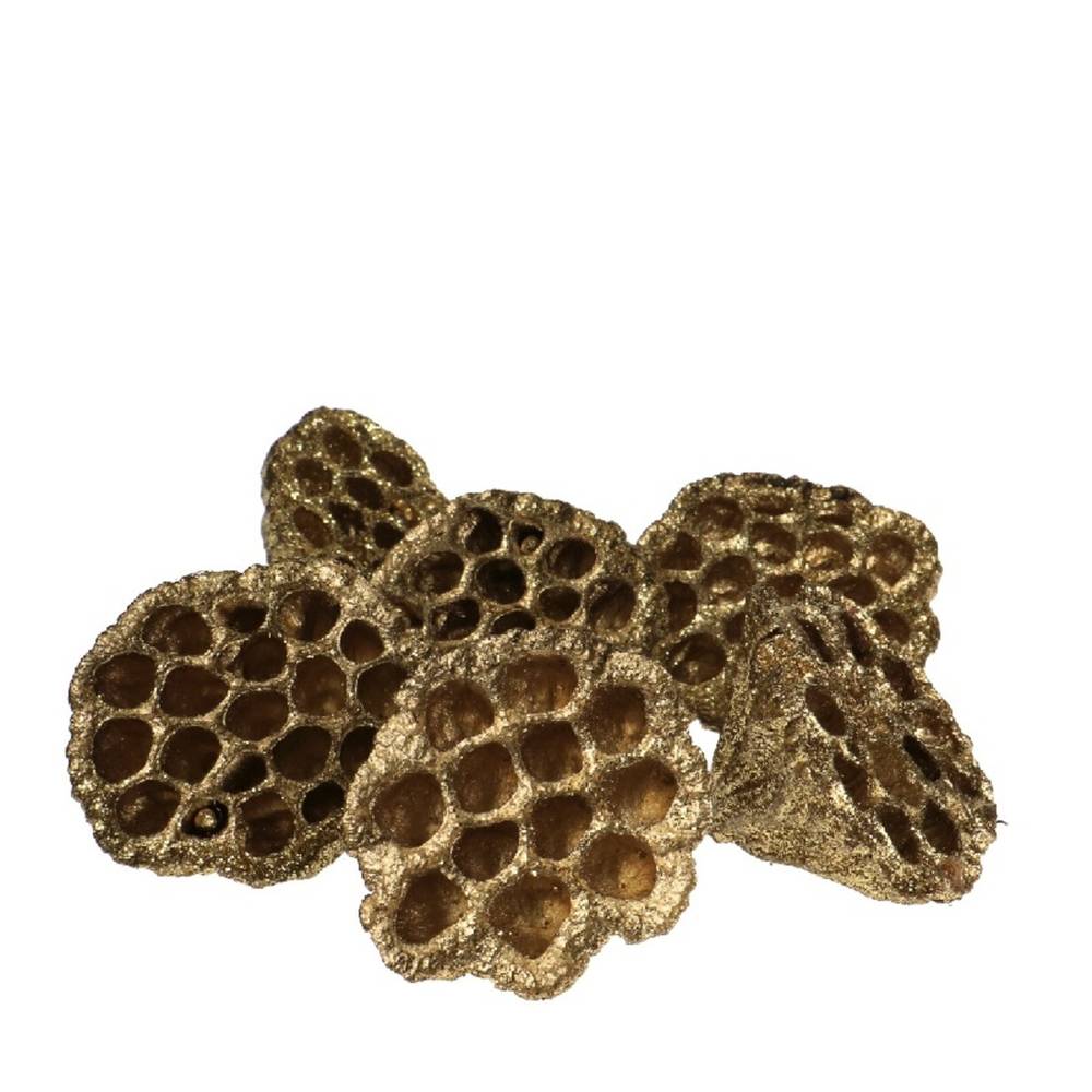 Deko Lotus Glitzer gold D08/10cm x6