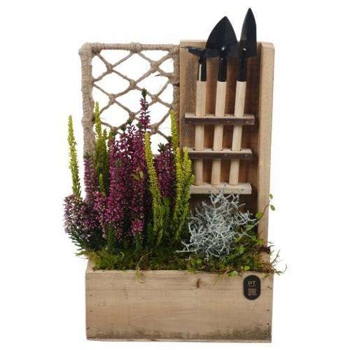 Garten.Arr PTHO7727 Herbst T21 H037
