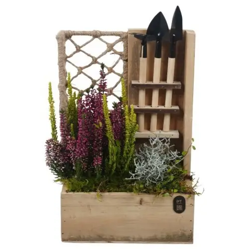 Garten.Arr PTHO7727 Herbst T21 H037