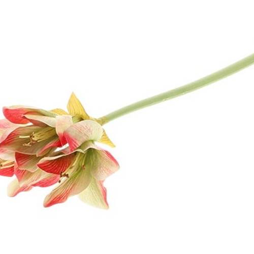 Seiden Amaryllis bunt L40cm