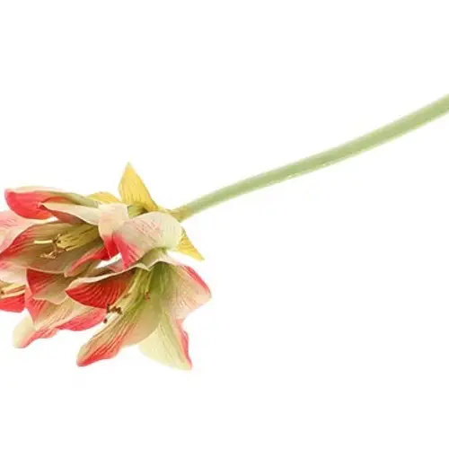 Seiden Amaryllis bunt L40cm