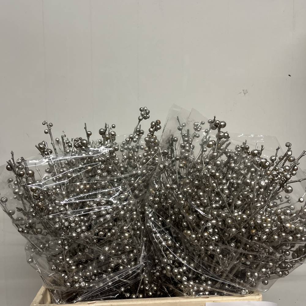 Ilex platina gefärbt 60cm