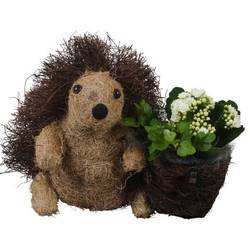 Kal.Arr PTHI3333 Herbst T25 H026