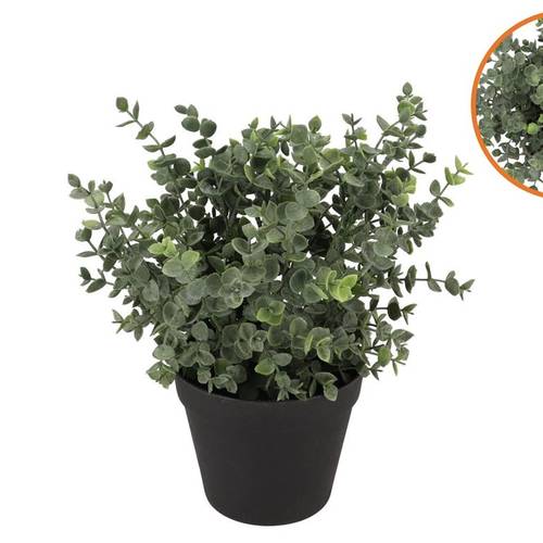 Seiden Eukalyptus im Übertopf D23cm H28cm