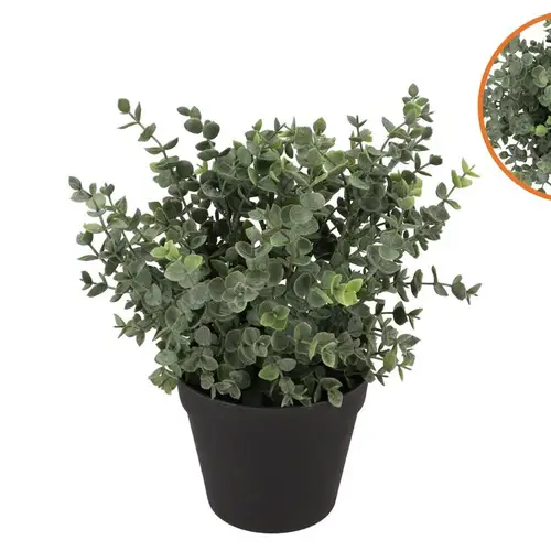 Seiden Eukalyptus im Übertopf D23cm H28cm