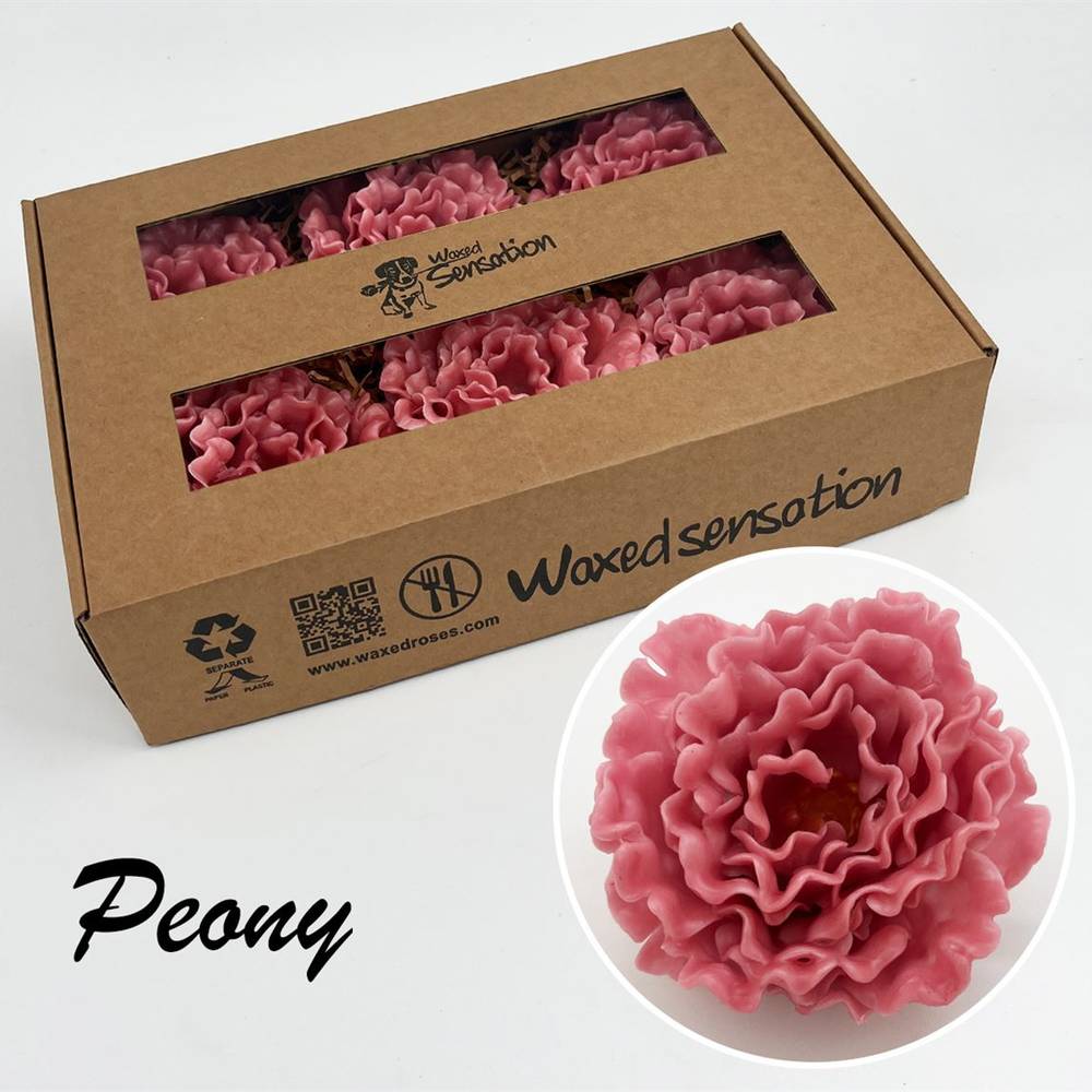 Seiden Wachs Pfingstrose rosa
