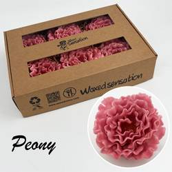 Seiden Wachs Pfingstrose rosa