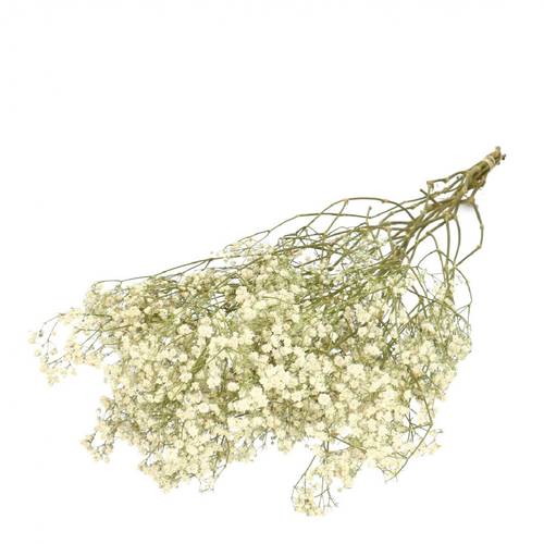 Trocken Gyps natur L70cm 50gr