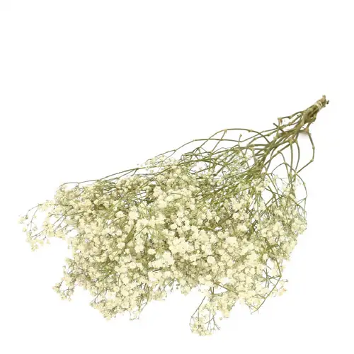 Trocken Gyps natur L70cm 50gr