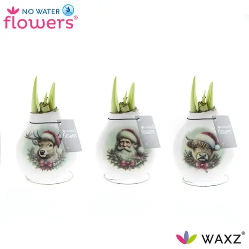 Amar.Bol Wachs Santas Friends mix rote Bl. 32cm H015