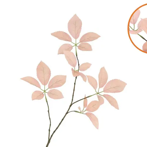 Seiden Holunderblatt champagne L81cm