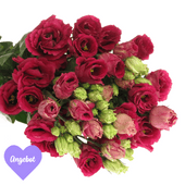 Lisianthus - LISIANTHUS ROT VALENTIN ANGEBOT Lisianthus - LISIANTHUS ROT VALENTIN ANGEBOT
