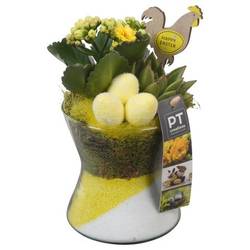 Kal.Arr PTPG9343 Ostern T11 H024