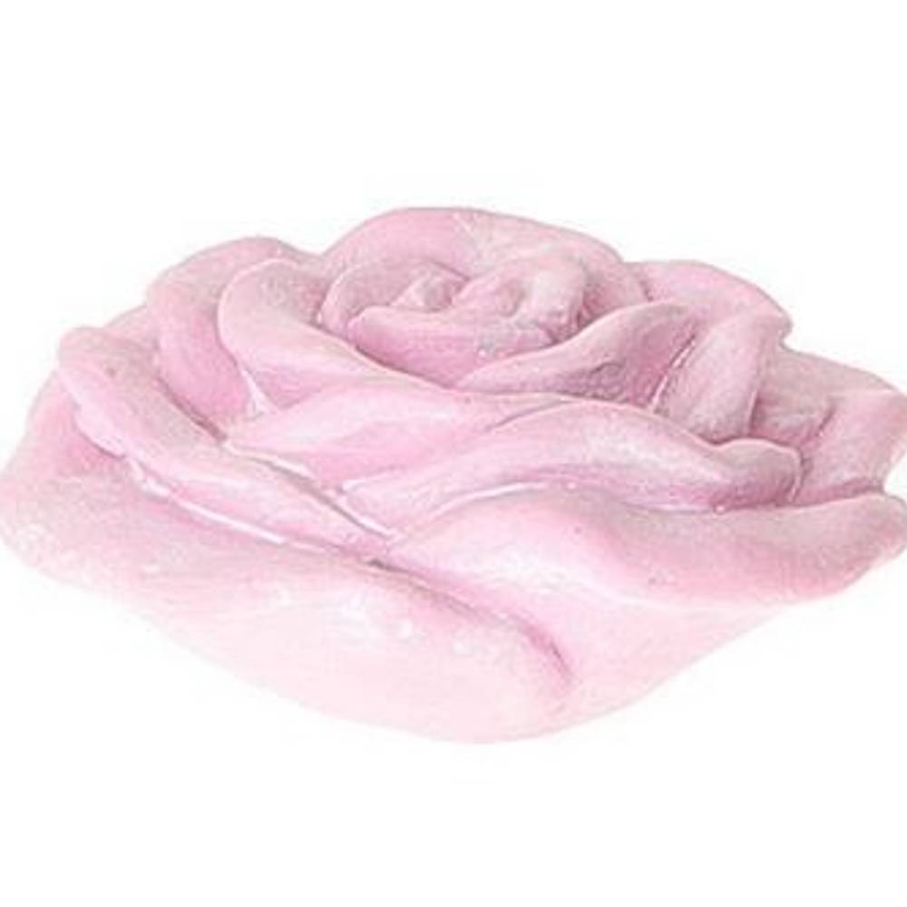 Rose Amour rosa D14cm H07cm