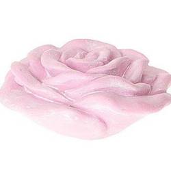 Rose Amour rosa D14cm H07cm