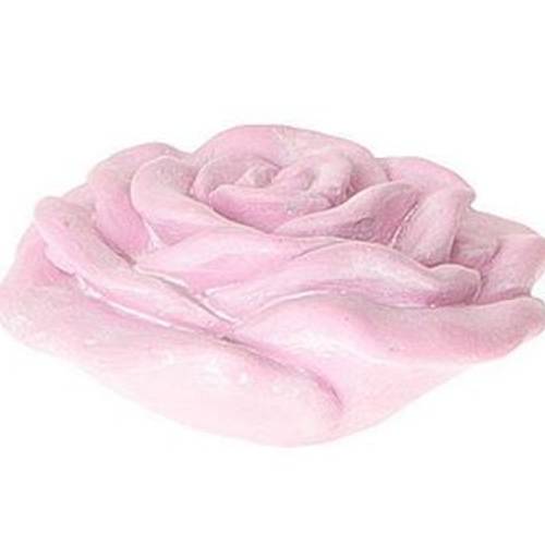 Rose Amour rosa D14cm H07cm