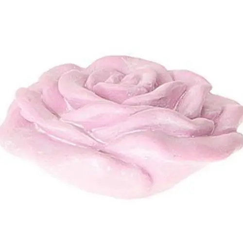 Rose Amour rosa D14cm H07cm