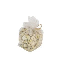 Muscheln Astrea 750gr Calcar Natur